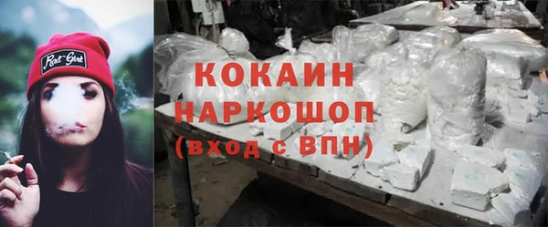 стафф Богданович