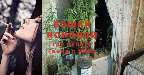 стафф Богданович