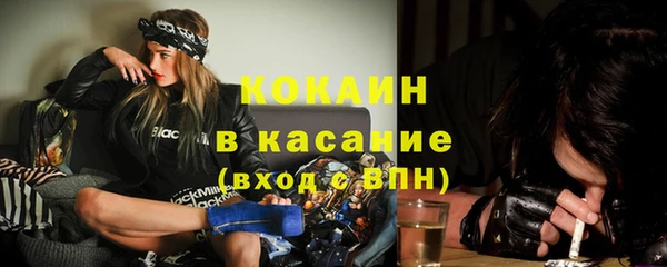 МДПВ Богородск