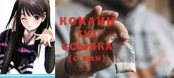 стафф Богданович