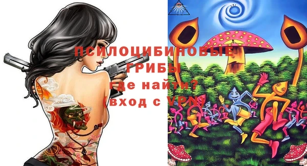 стафф Богданович