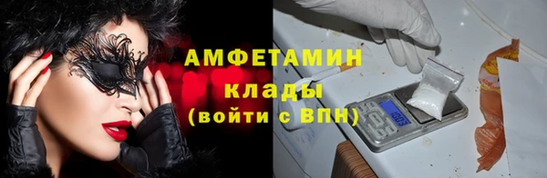 стафф Богданович