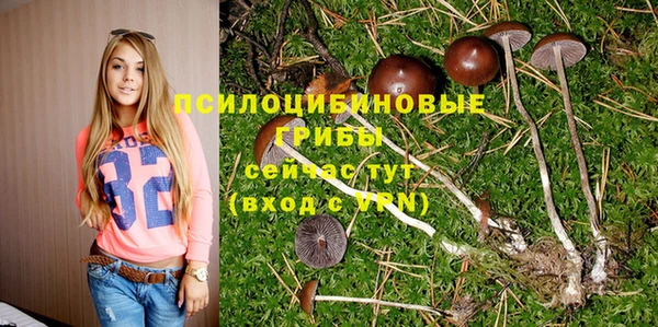 дистиллят марихуана Богородицк