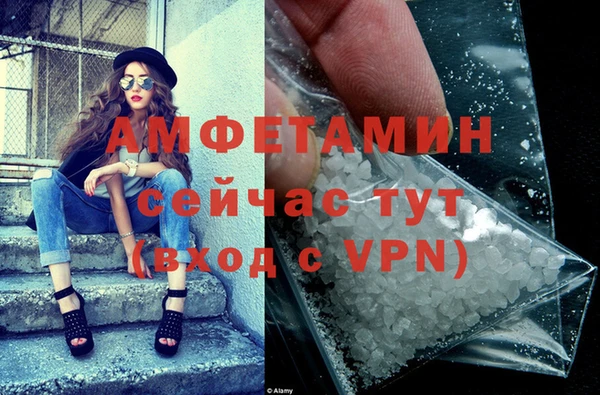 стафф Богданович