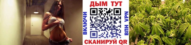Бошки Шишки SATIVA & INDICA Невьянск